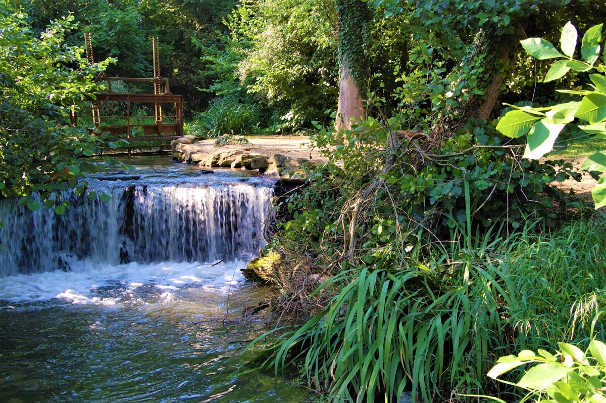 A természeti sokféleség gyönyörködtet és előnyös hogy-orizze-es-muvelje