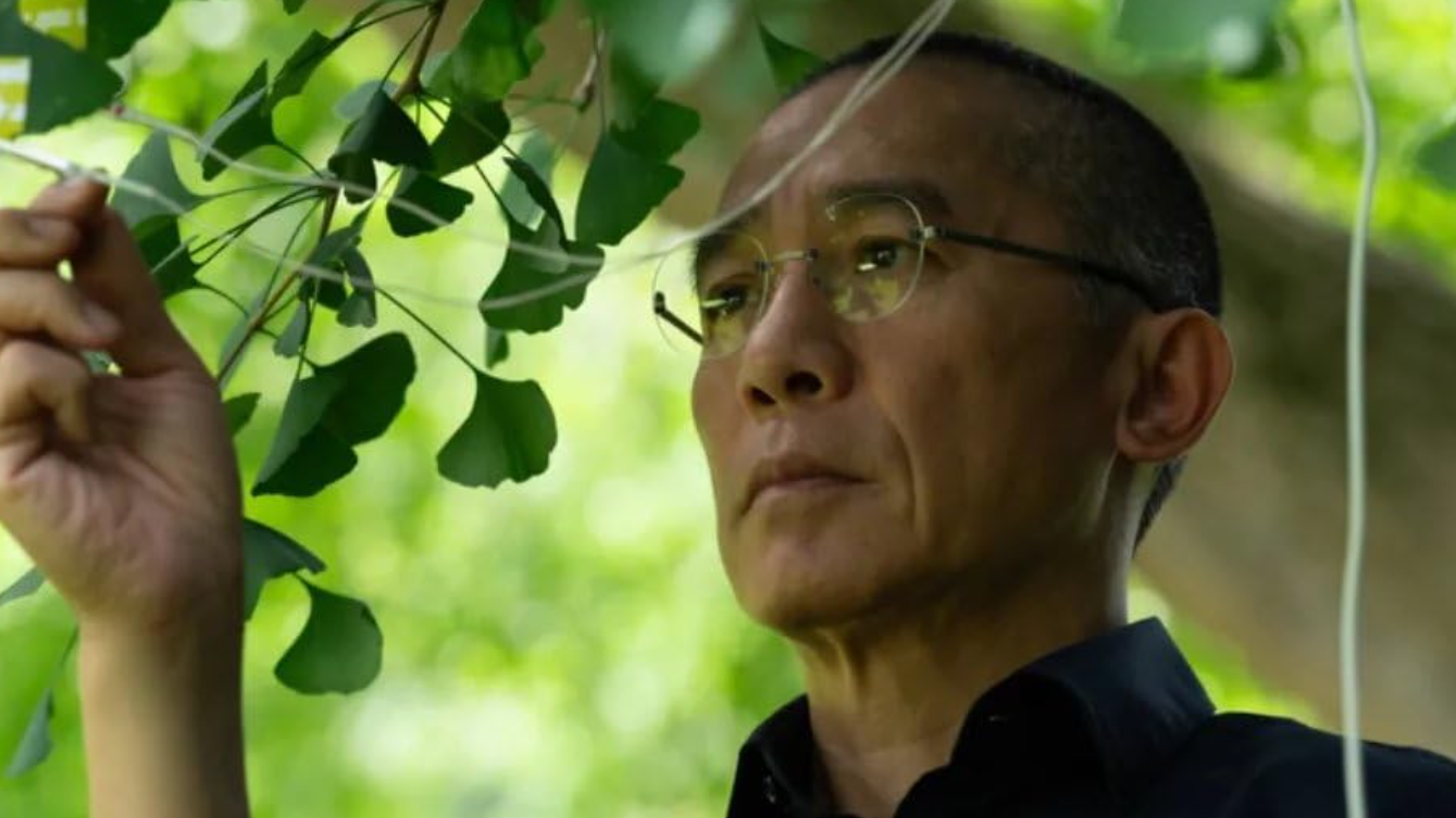 Tanulni kell. A fákat. – A Csendes barát című filmről tanulni-kell-a-fakat-a-csendes-barat-cimu-filmrol