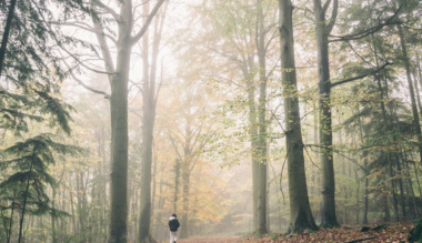 itt-a-nyar-testi-lelki-pihenesrol