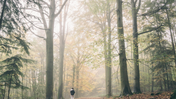 itt-a-nyar-testi-lelki-pihenesrol