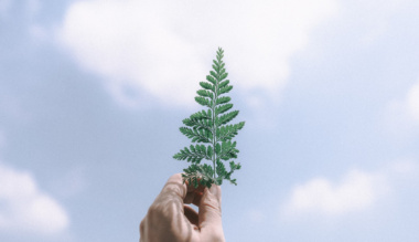 hala-akadalymentesites-a-szeretet-elott