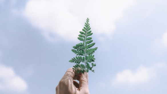 hala-akadalymentesites-a-szeretet-elott