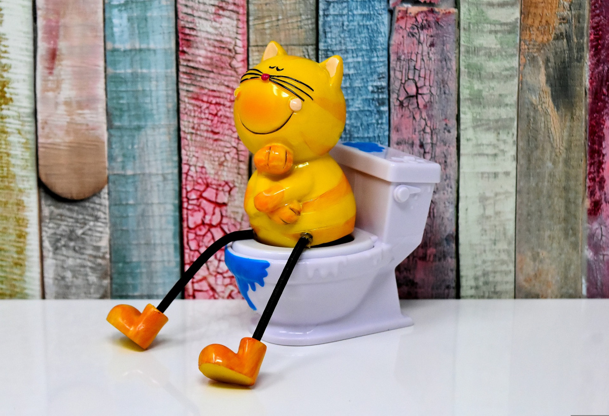 Bili? Türelem! bili-turelem