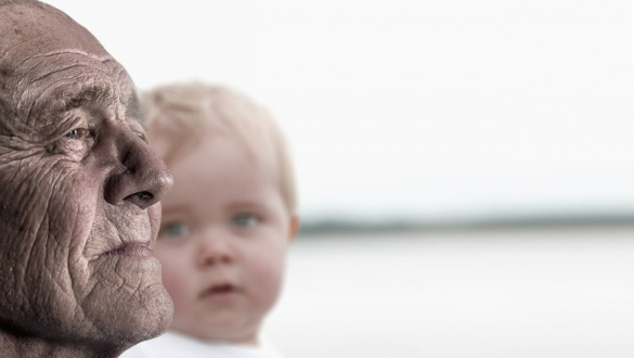 nagyszulok-a-bibliaban-es-az-eletben