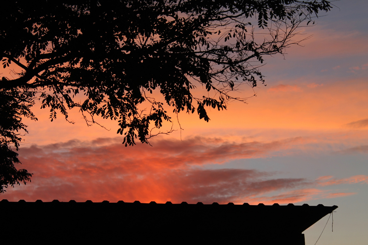 Az utolsó órák az-utolso-orak