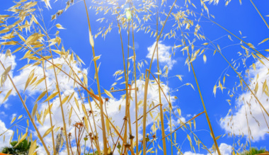 megdobogtatja-a-szivemet