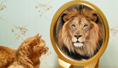 bennem-van-az-ero-onbizalmunk-utvesztoi-ii