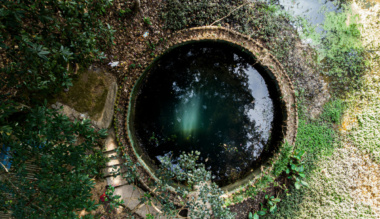 lelkunk-kutjaba-nezve