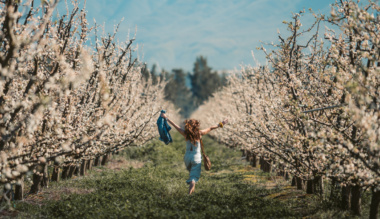 jelen-lenni-a-mulo-idoben