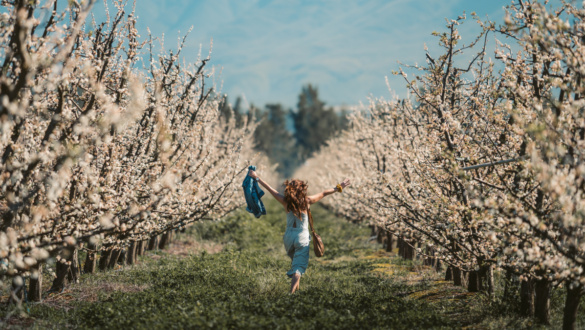 jelen-lenni-a-mulo-idoben