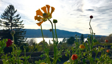 az-elet-igeje-2022-februar-fokolare