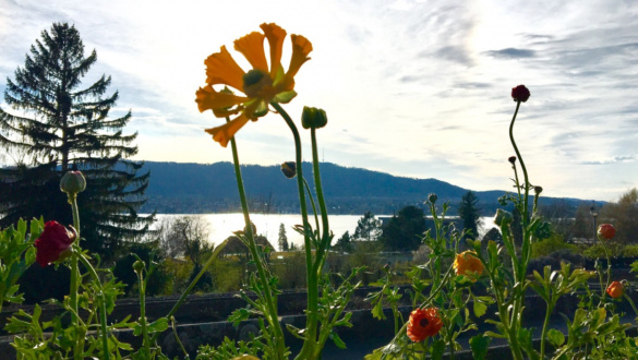 az-elet-igeje-2022-februar-fokolare