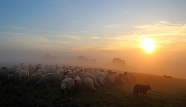kesz-vagyok-az-eletemet-adni