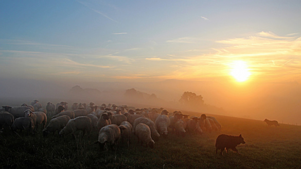 kesz-vagyok-az-eletemet-adni