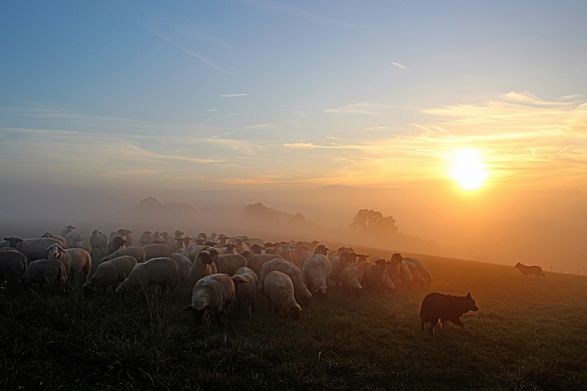 Kész vagyok az életemet adni? kesz-vagyok-az-eletemet-adni