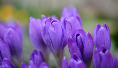 nagybojti-meghivas-legyunk-kozossegben
