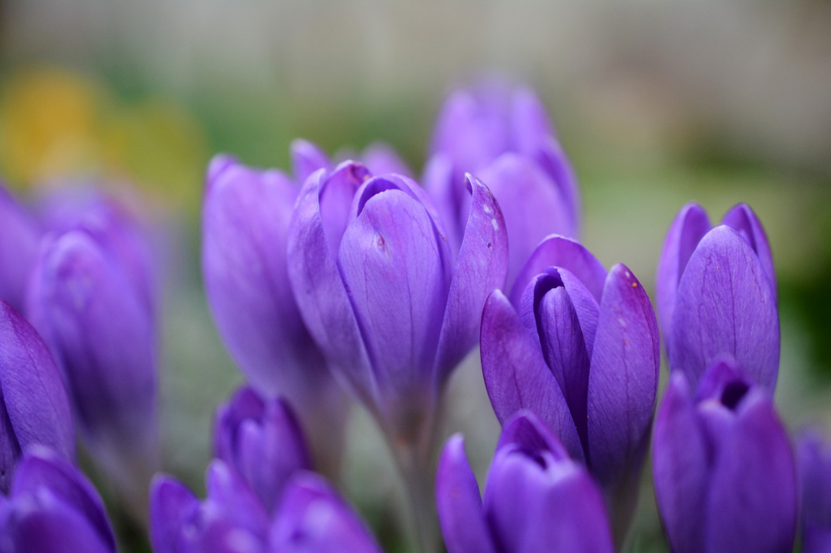 Nagyböjti meghívás: legyünk közösségben! nagybojti-meghivas-legyunk-kozossegben