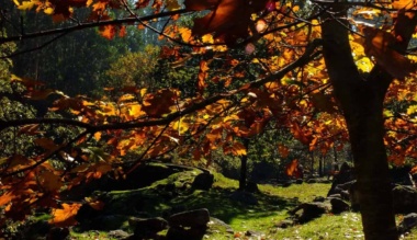 a-kert-maga-az-elet-korkerdes-a-kerteszkedesrol-mint-eleterzesrol