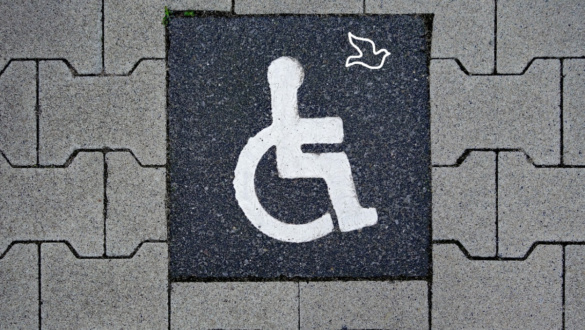 rogton-segitseg-viszonzas