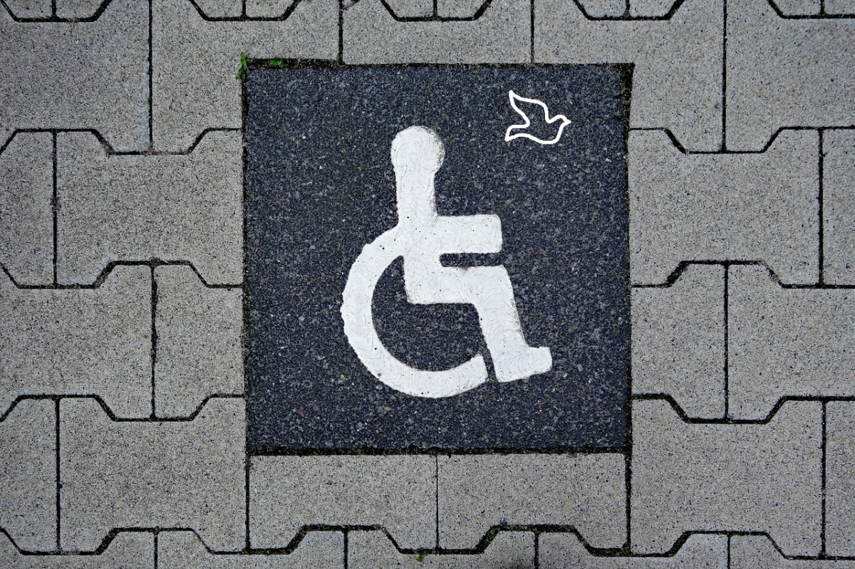 Rögtön jött a segítség – és rögtön viszonozhattuk rogton-segitseg-viszonzas