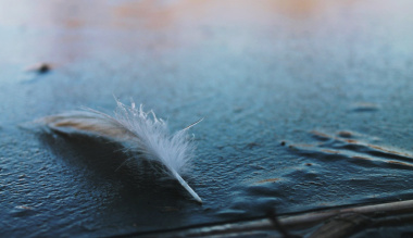 figyeljunk-a-remeny-jeleire-alois-testver-taize-priorjanak-uzenete-a-2021-es-evre