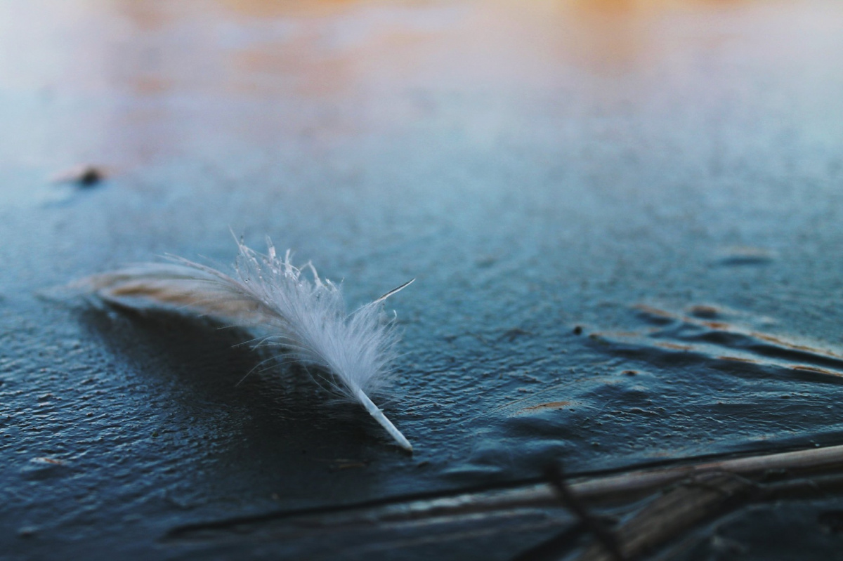 Figyeljünk a remény jeleire! – Alois testvér, Taizé priorjának üzenete a 2021-es évre figyeljunk-a-remeny-jeleire-alois-testver-taize-priorjanak-uzenete-a-2021-es-evre