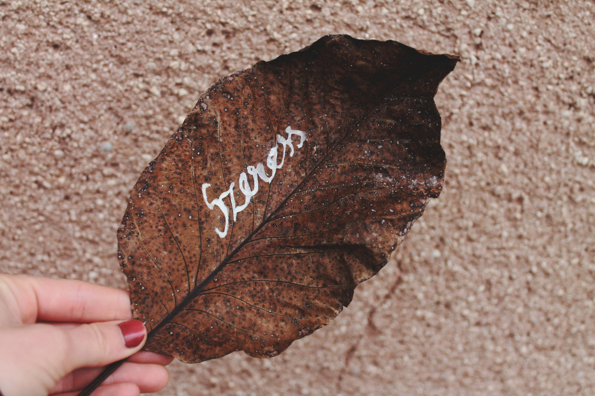 Kreatív szeretet - ötletes gesztusok a kórházi dolgozók és a betegek felé kreativ-szeretet-otletes-gesztusok-a-korhazi-dolgozok-es-a-betegek-fele