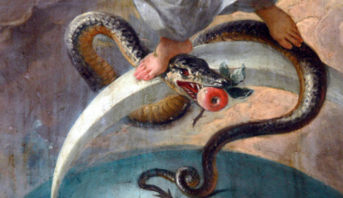 konzervkigyo-es-digitalis-dzsungel