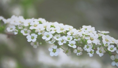 utazas-a-mennyorszagban-7-12-mennyrol-mennyre