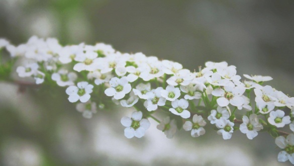 utazas-a-mennyorszagban-7-12-mennyrol-mennyre