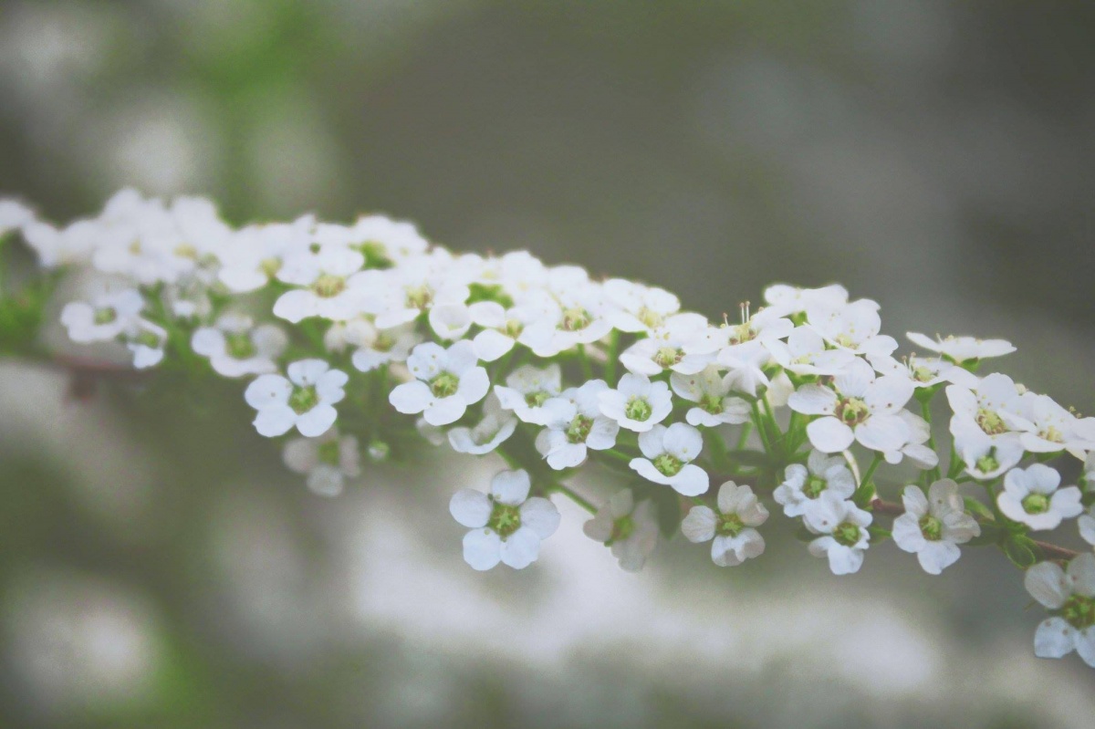 Utazás a Mennyországban 7/12: Mennyről Mennyre utazas-a-mennyorszagban-7-12-mennyrol-mennyre