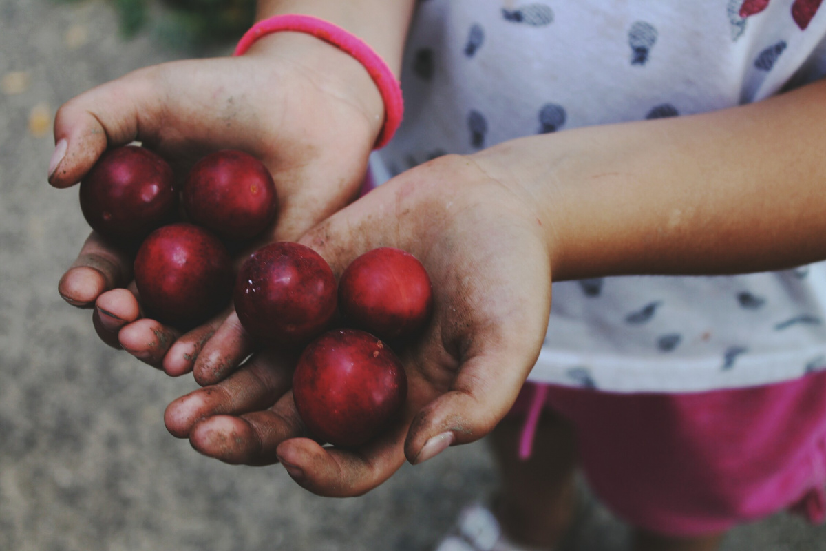 Adjatok és akkor ti is kaptok. Jó, tömött, megrázott és túlcsorduló mértékkel mérnek öletekbe. adjatok-es-akkor-ti-is-kaptok-jo-tomott-megrazott-es-tulcsordulo-mertekkel-mernek-oletekbe