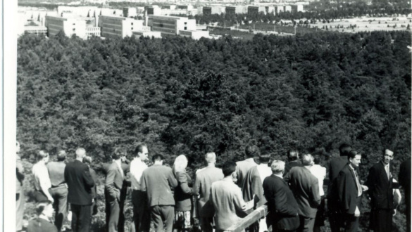 mati-unt-oszi-kavargas