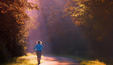 a-kutyak-fel-hetkor-kelnek