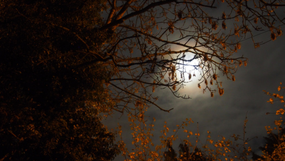 a-kortars-kultura-valsaga-1