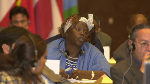 faultetessel-a-bekeert-wangari-maathai-tortenete