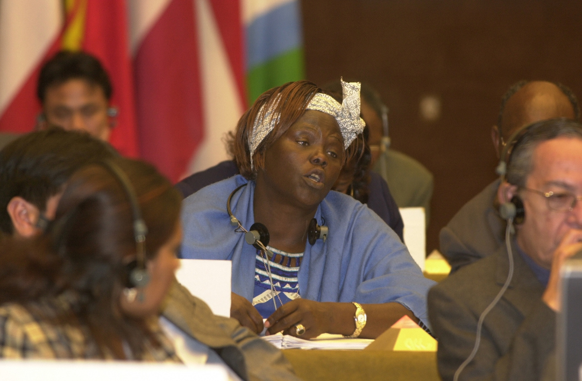 Faültetéssel a békéért – Wangari Maathai története faultetessel-a-bekeert-wangari-maathai-tortenete